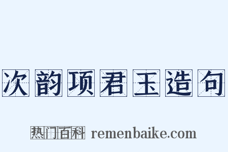 次韵项君玉造句是什么意思的图片